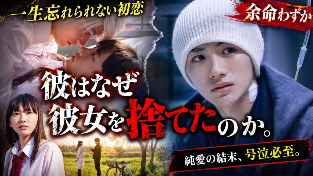 【映画紹介】 「別れよう」そう言って彼は去った。本当は余命宣告を受けていた。最後の嘘。彼が残した日記と、永遠の愛。😢 #号泣必至 #純愛 #感動 #涙腺崩壊